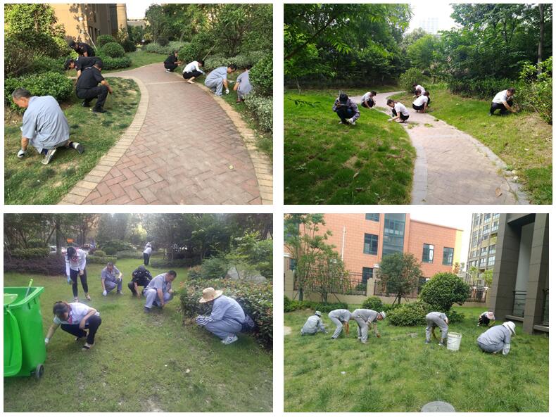 南宫集团(中国区)有限公司官网