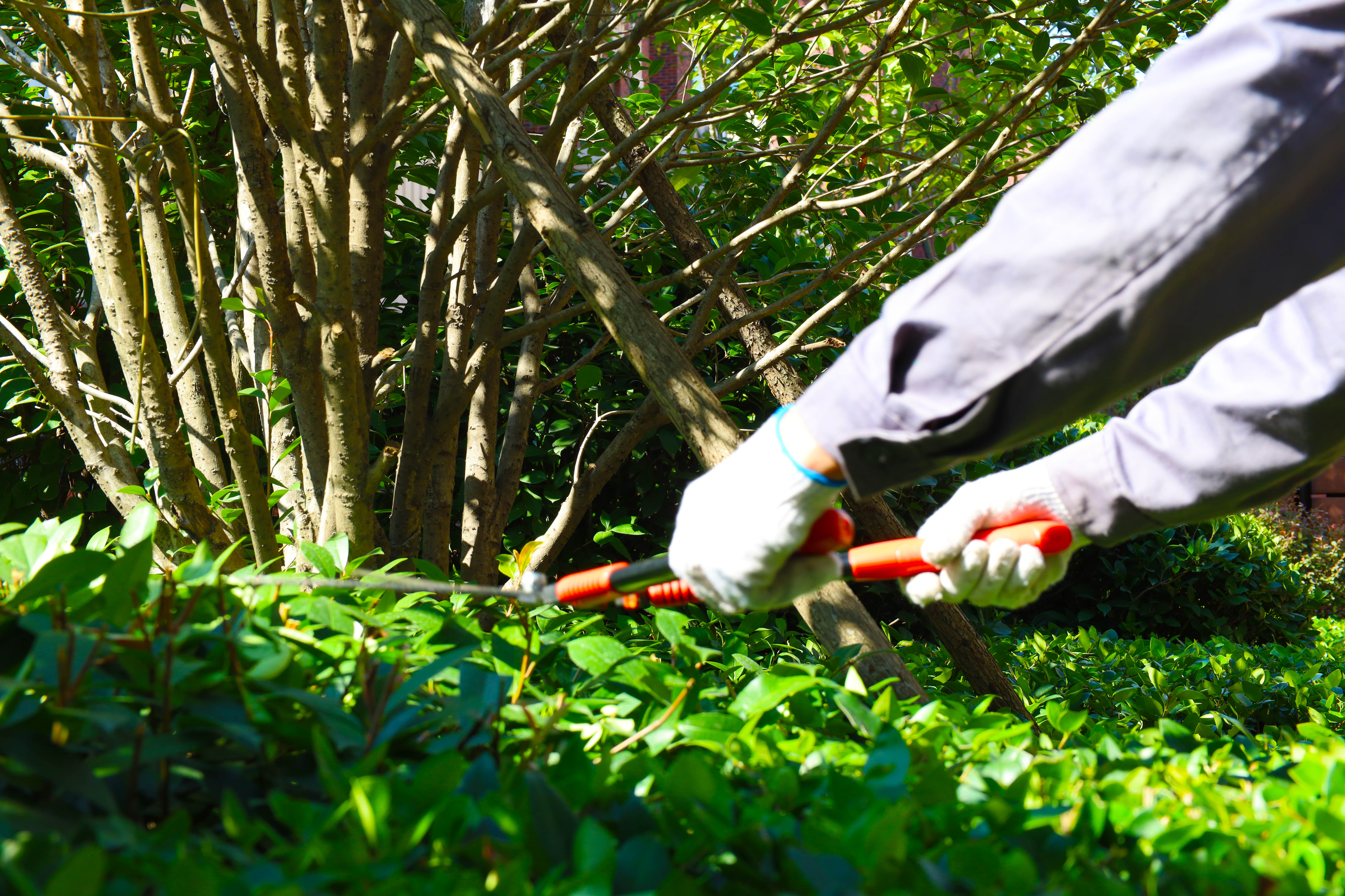 南宫集团(中国区)有限公司官网